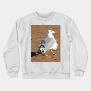 Seagull in a windy day with ruffled feathers Crewneck Sweatshirt